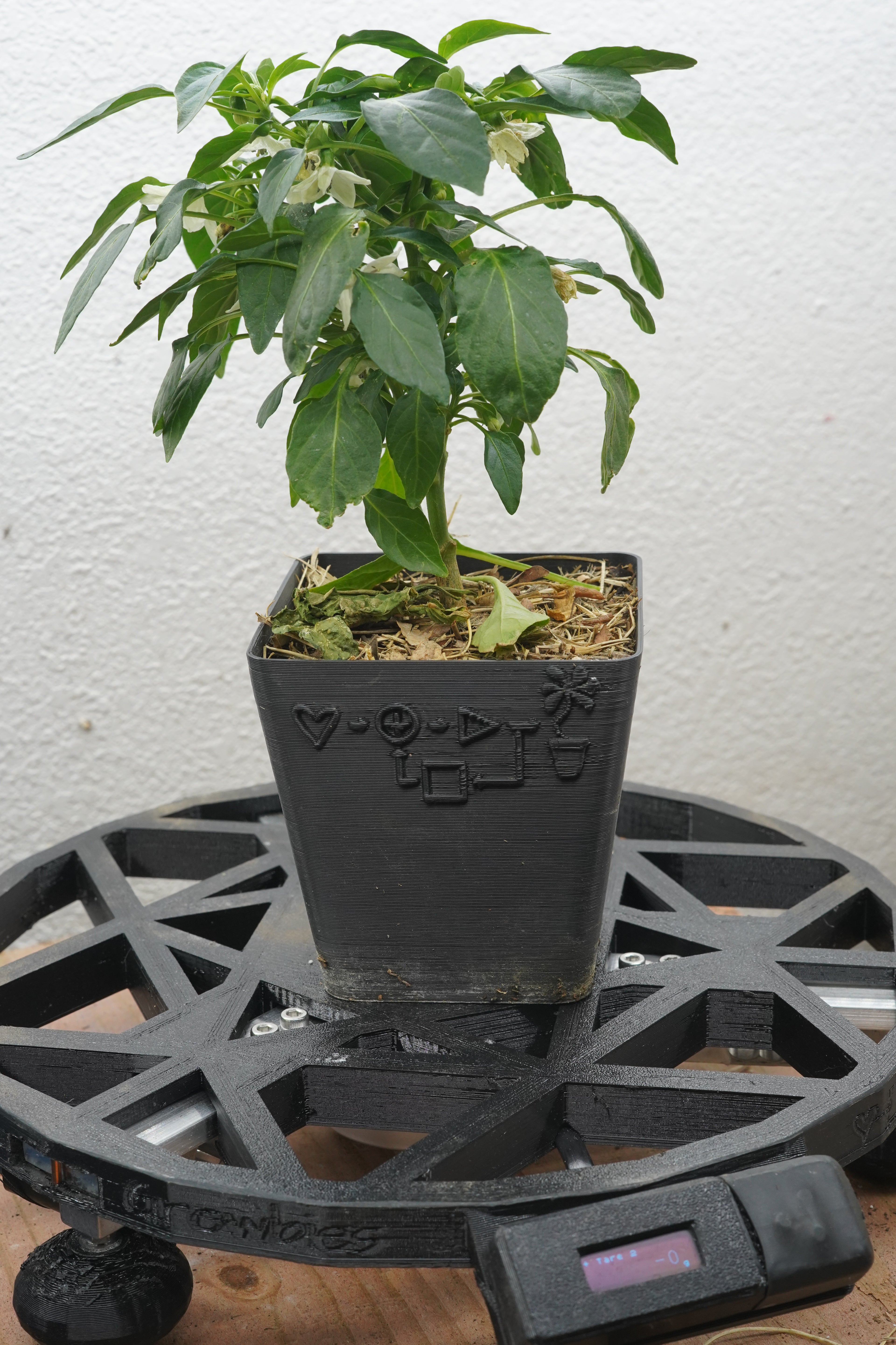 10 in. circle scale